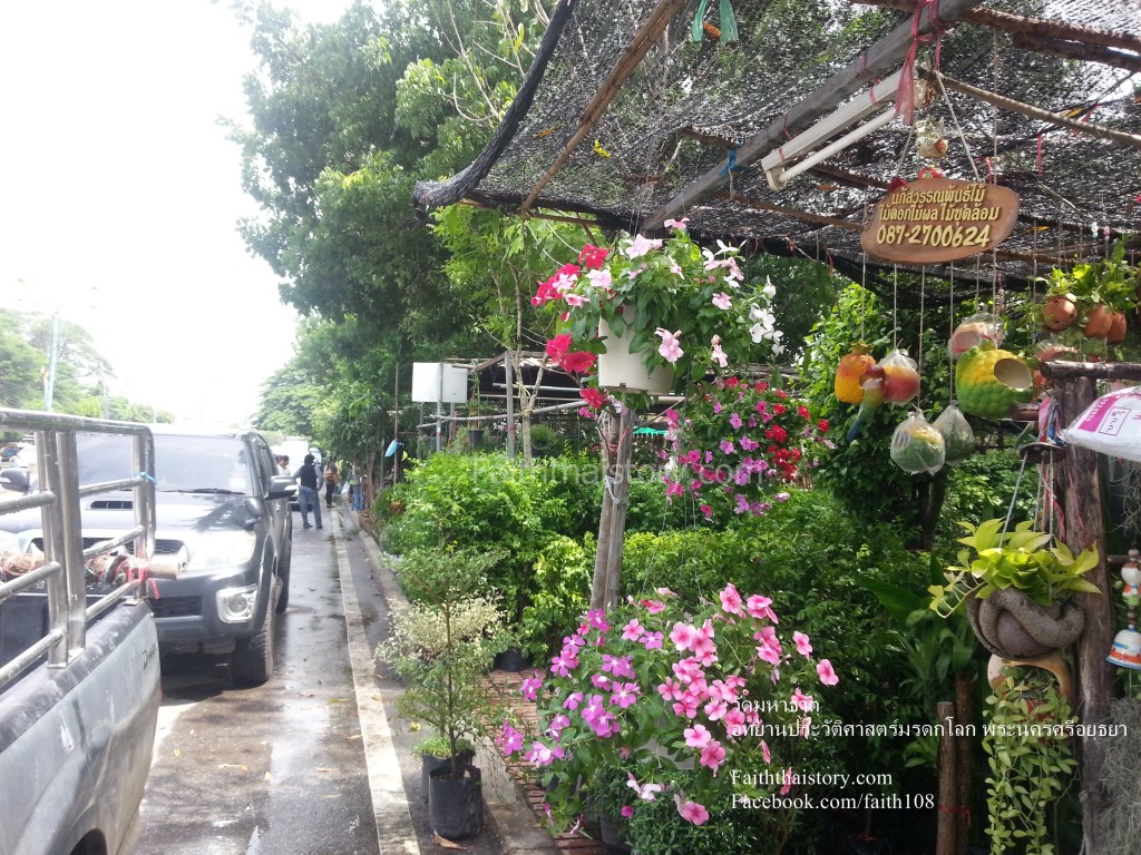 ร้านขายพรรณไม้ประดับ ฝั่งเดียวกับวัดมหาธาตุ