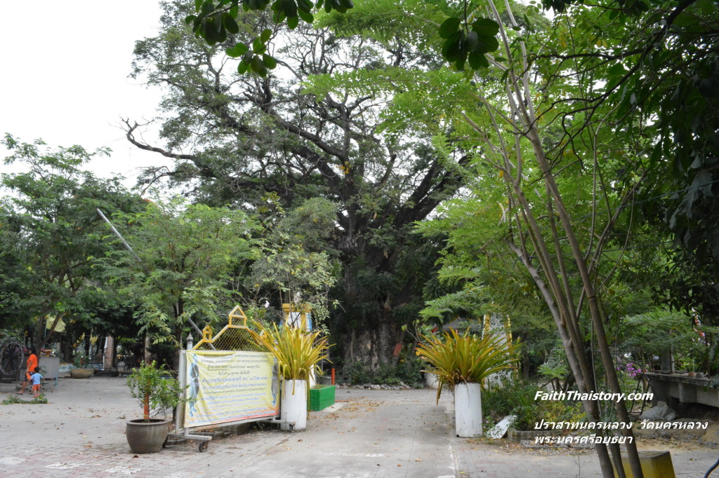 บรรยากาศพื้นที่วัดฝั่งตะวันตกของถนน