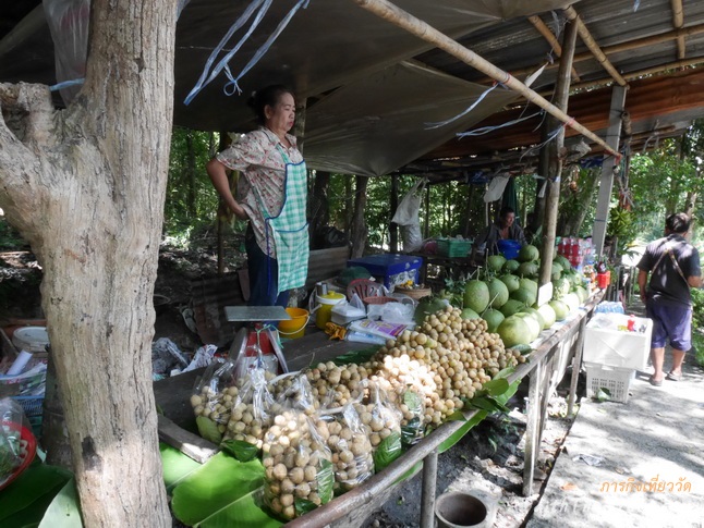 ผลิตภัณฑ์ทางการเกษตร 