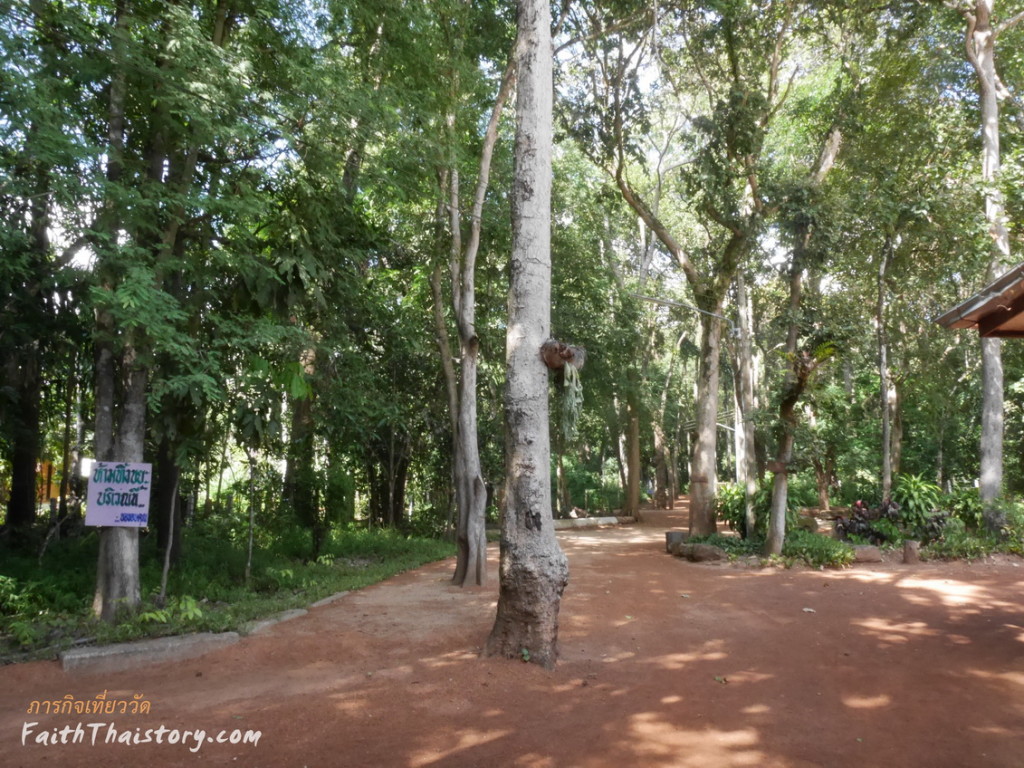บรรยากาศในวัด