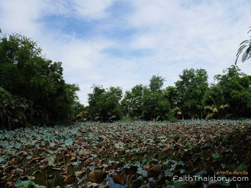 สระบัวหลังวัด